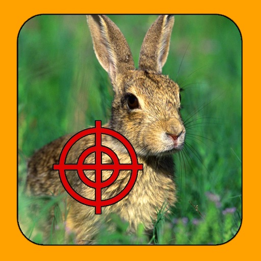 Rabbit Hunter Icon