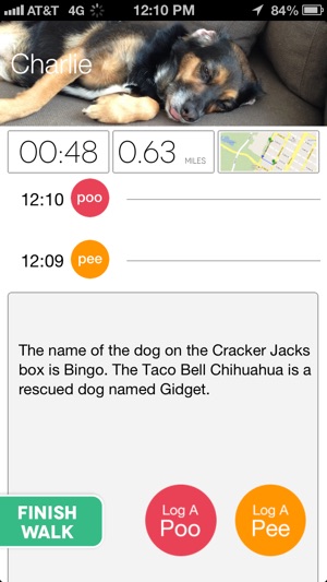 Paw Tracks - dog walking pet tracker for groups and friends(圖2)-速報App