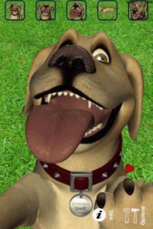 Talking Dog Crazy - APK Download for Android