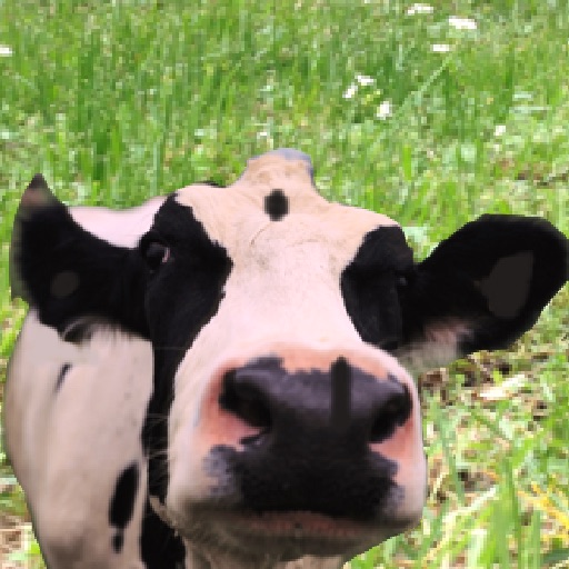 My Pet Cow