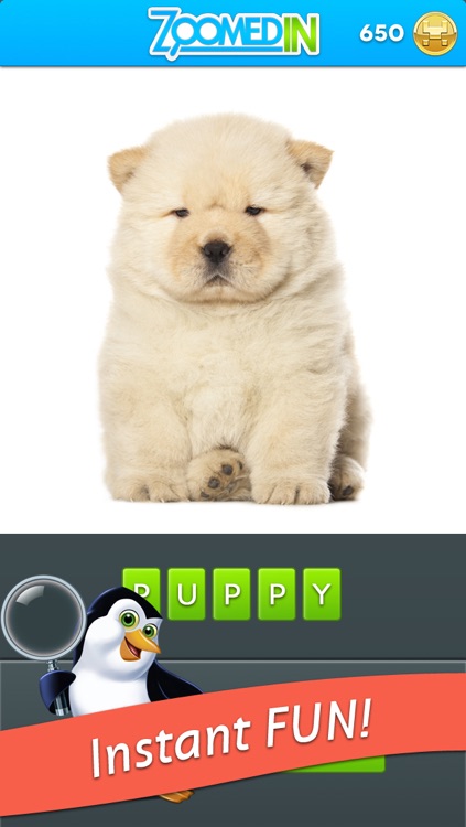 Zoomed In - Photo Game screenshot-3