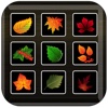 Leaves Collector - Switch and Swap Matching Plants
