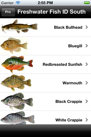 Freshwater Fish ID South lite screenshot 4