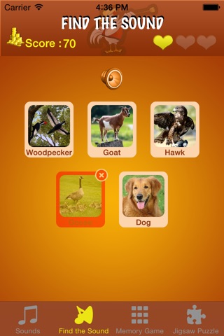 Funny Animals and Games screenshot 4