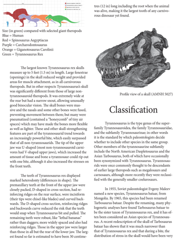 Dinosaur Magazineのおすすめ画像3