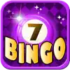 Bingo Master Deluxe Casino - HD Free App Support