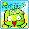 Turtle Runs