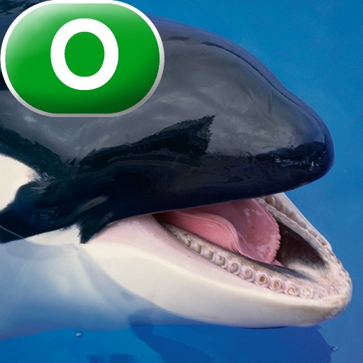 Whales - LAZ Reader [Level O–second grade] icon