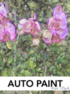 Auto Paint For iPad screenshot #1 for iPad