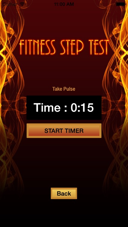 Fitness Step Test- VO2max screenshot-3