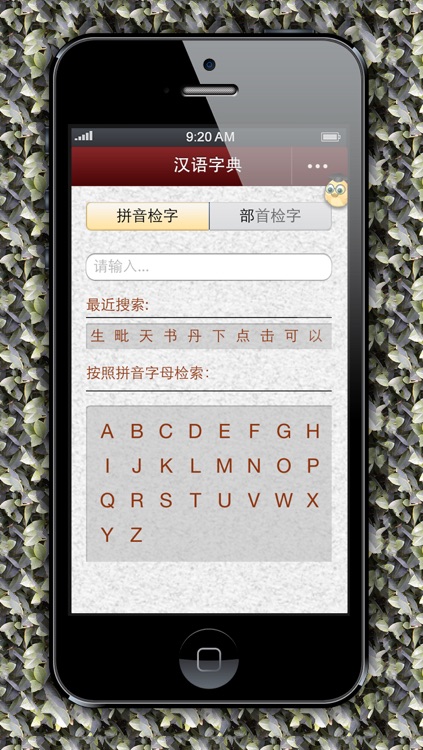 汉语字典-现代汉语字典,汉语词典,汉语翻译