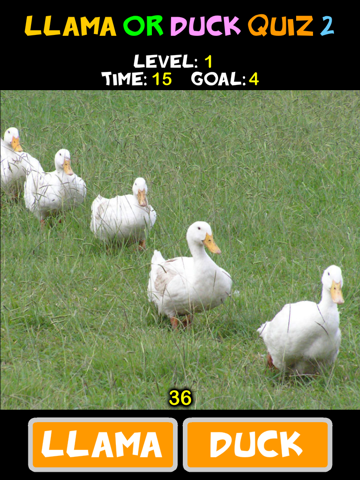 Screenshot #5 pour Llama or Duck Quiz 2