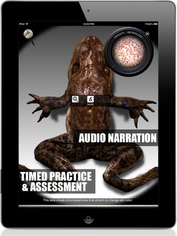 Froguts Frog Dissection HD for iPad screenshot 2