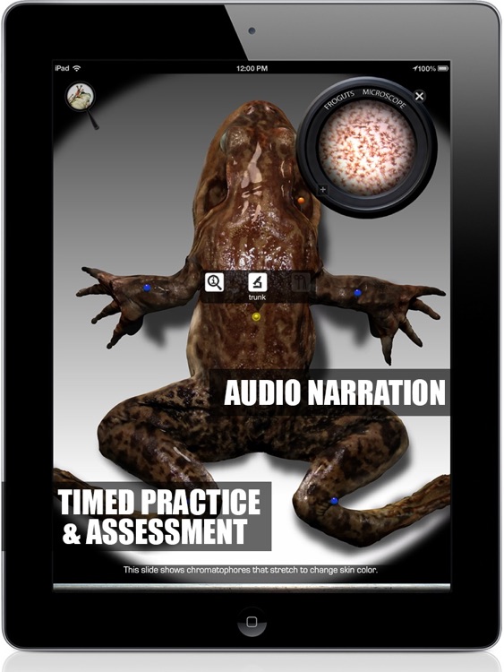 Froguts Frog Dissection HD for iPad