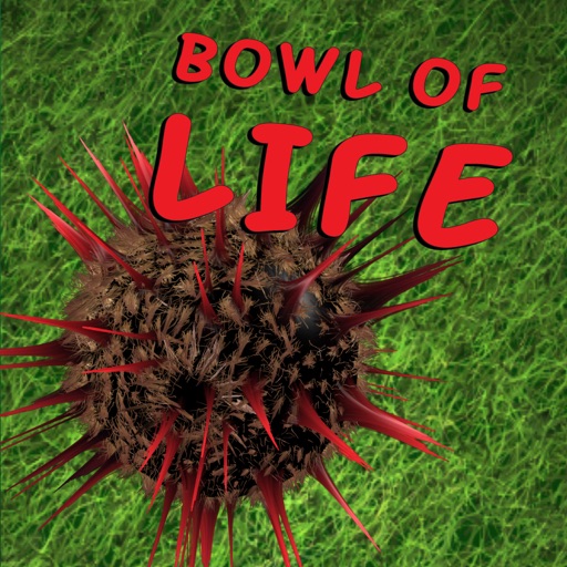 Bowl of Life