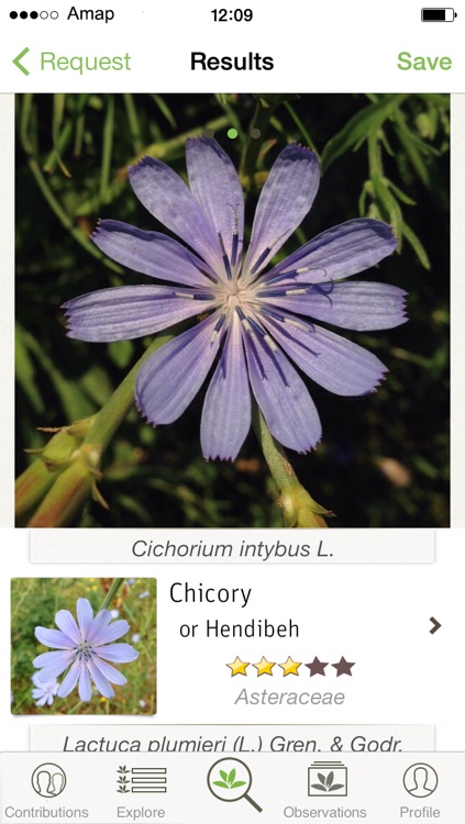 PlantNet screenshot-4