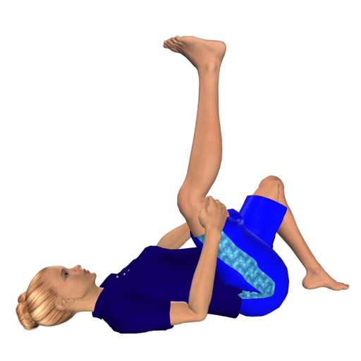 Leg Pain Relief Stretches
