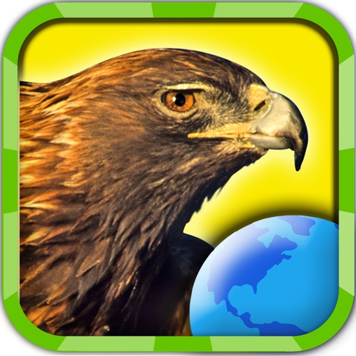 My Birds of Prey HD icon