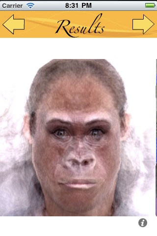 Face Transformer Ape Edition screenshot 4