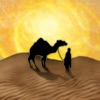 Reiner Knizia's Through the Desert HD iPhone / iPad