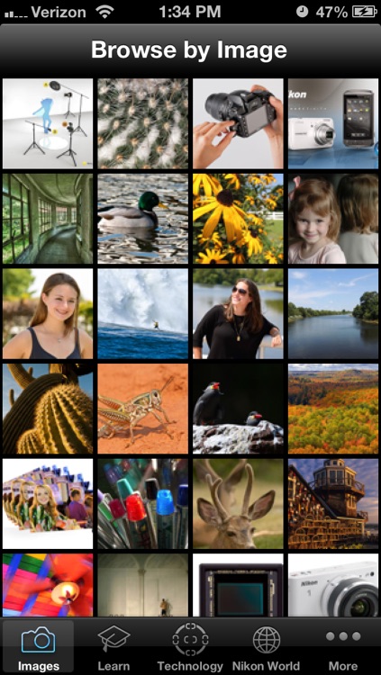 Nikon Learn & Explore - photo tips, techniques and terms