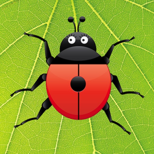 Ladybug Count iOS App