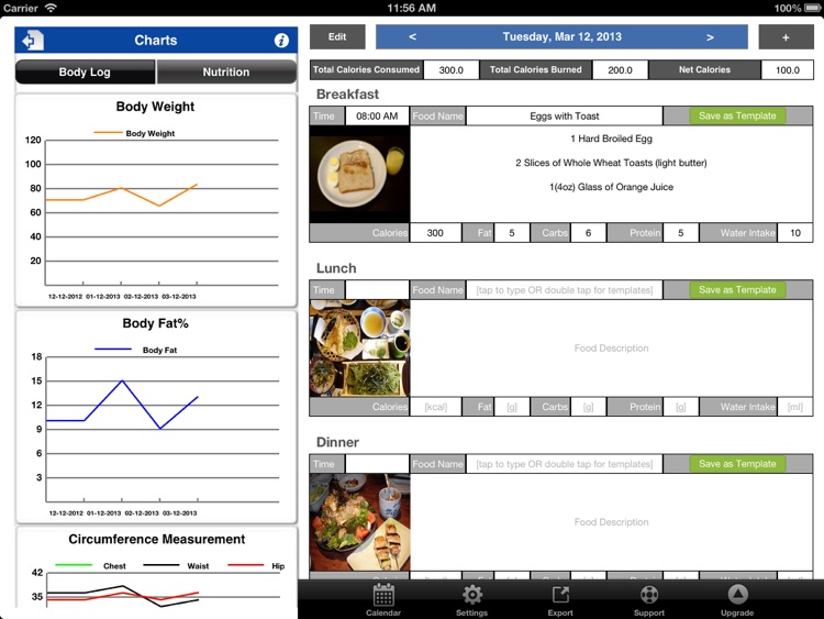 FoodJournal for iPad