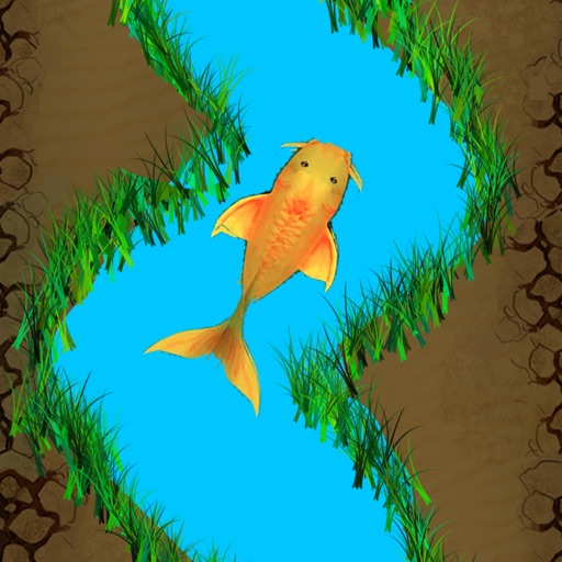 Stay in Water & Keep the Fish Alive iOS App
