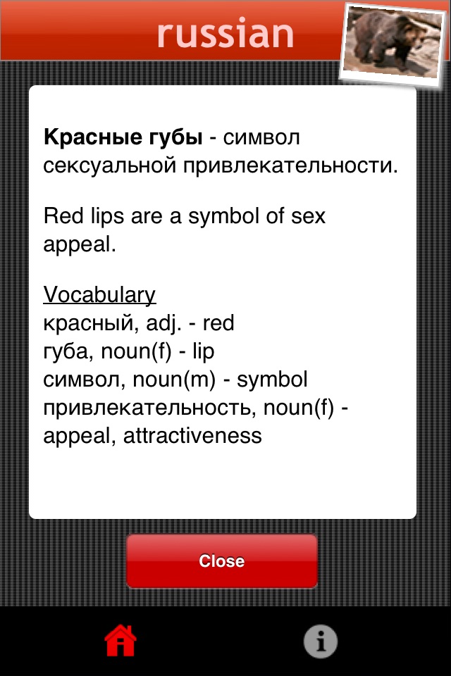 Russian Grammar Chart screenshot 2