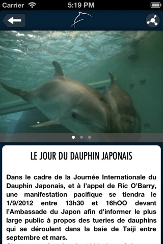 Blog Les Dauphins screenshot 3