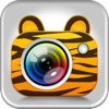 Camera Zoo – Human to Animal photo montages