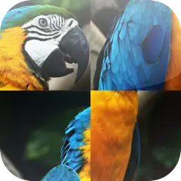 Animal Jigsaw app icon