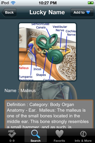 VISUAL: Organ Anatomy screenshot 4