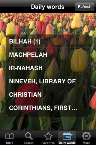 Bible Dictionary Collections screenshot 3