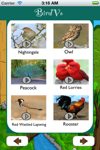 Birds Sounds App ~ BirdVo ~ Bird Voices screenshot 3