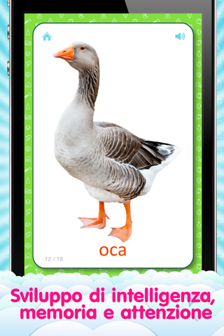 Flashcard per Bambini e un gioco di apprendimento e logica «Trova un'Immagine» screenshot 3