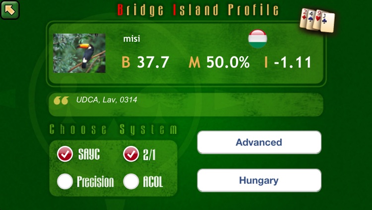 Bridge Island screenshot-4