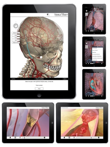 3D Heart & Circulatory Premium 2 screenshot 3