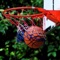 This Application helps you to plan your street basketball(alleyball) better and easier than ever