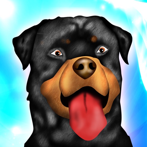 Dog Agility Obstacles Dressage Race Contest - Free Edition Icon