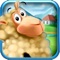 Check out this fun and exciting sheep running game