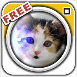 Talking Pet Booth Free: Make my cats, dogs, and other pets speak in real time!