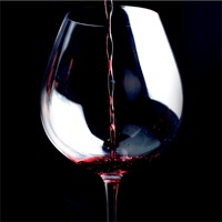What to Drink with What You Eat pour PC