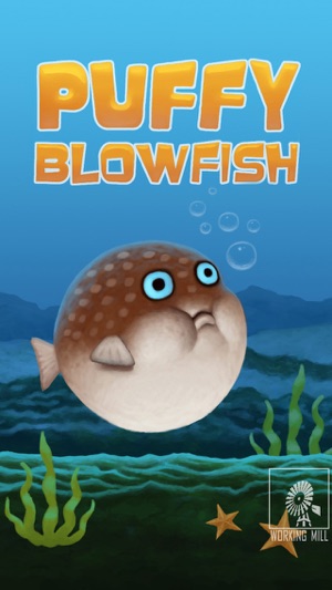 Puffy Blowfish