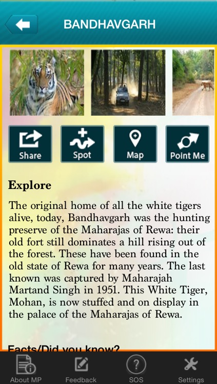 MP Tourism Official screenshot-4