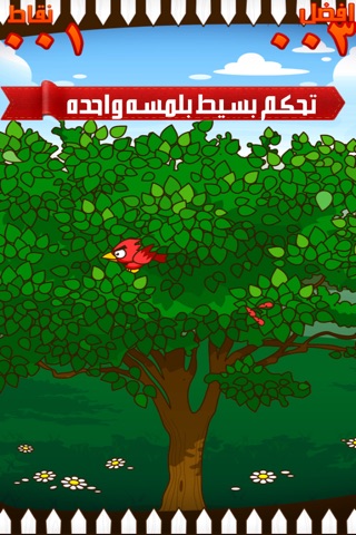 هروب العصفور الاحمر تلوين الرسم - ألعاب طيور الجنة كرتون و رسوم الحروف والاحرف العربية تحميل للاطفال screenshot 3