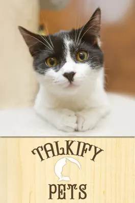 Game screenshot Talkify Pets mod apk