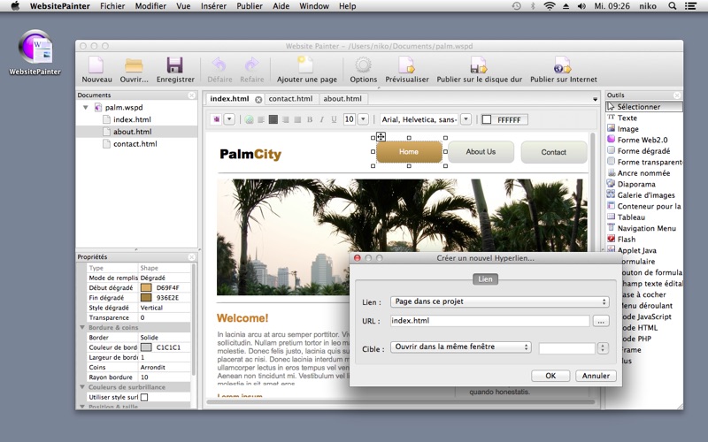 Screenshot #2 pour WebsitePainter