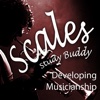 Developing Musicianship Scales Study Buddy