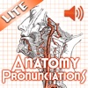 Anatomy Pronunciations Lite - iPadアプリ